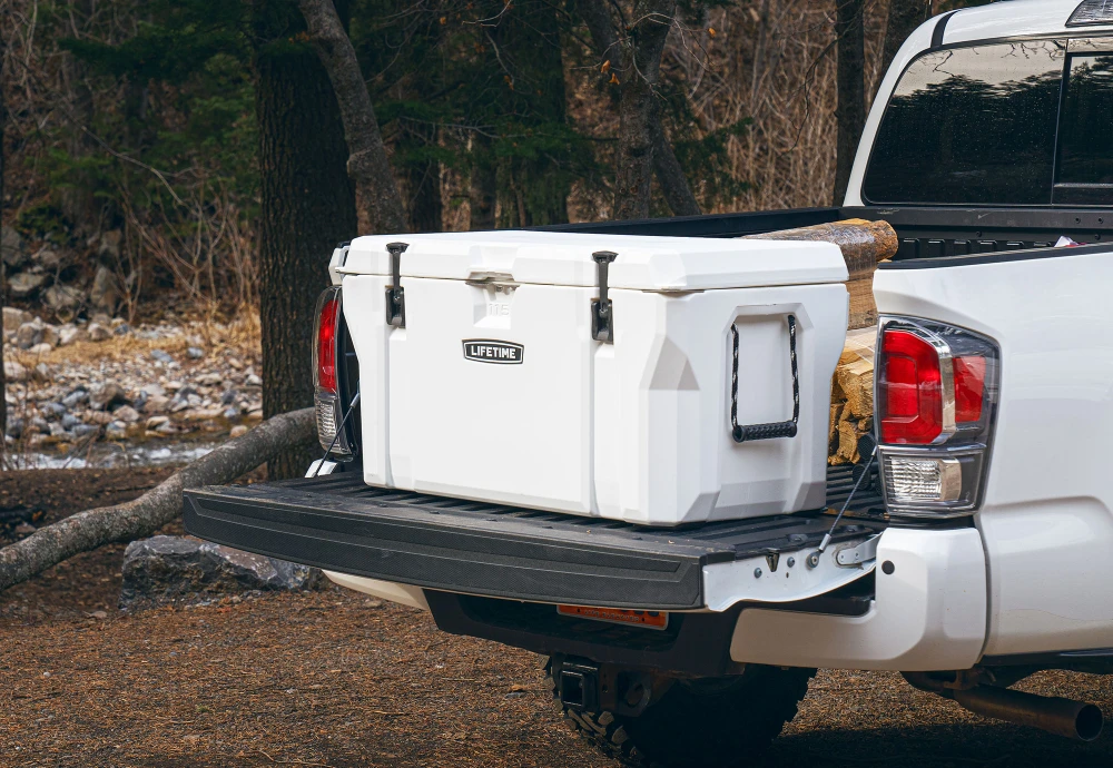 ice cooler box for car