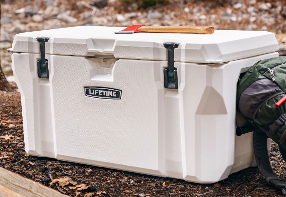 portable cooler box