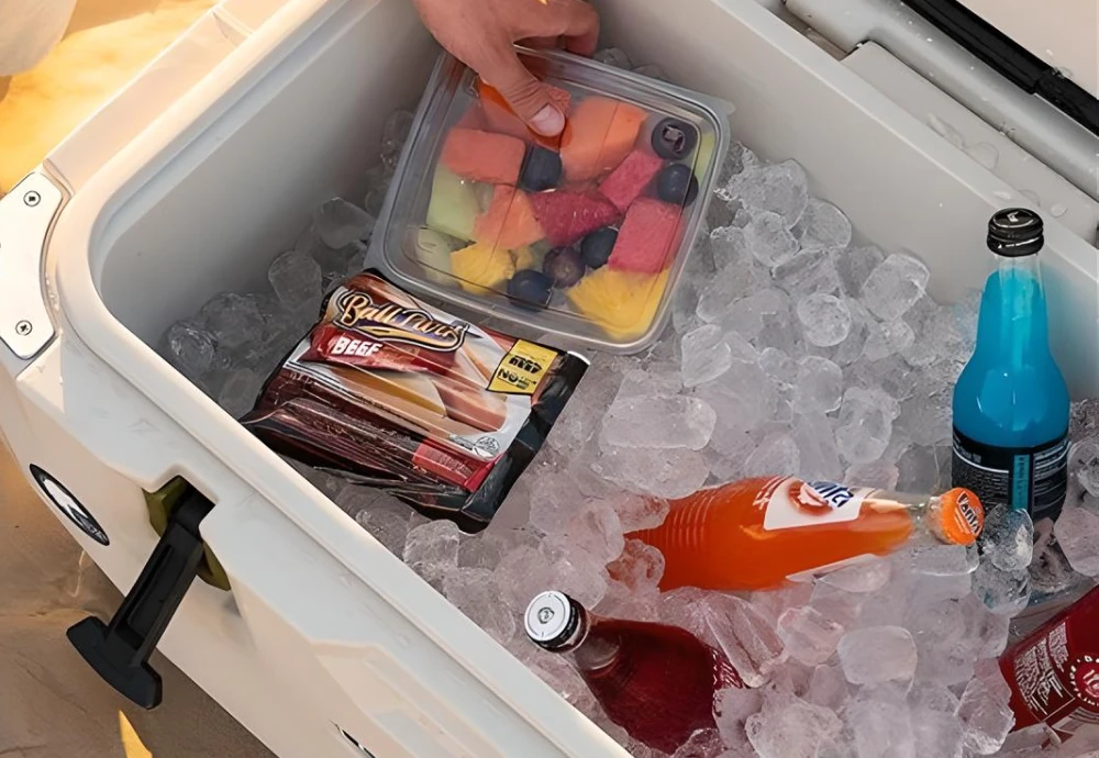 portable cooler box