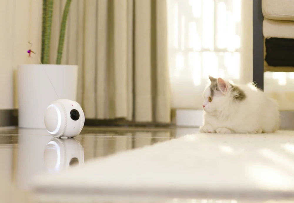 best video camera for pets