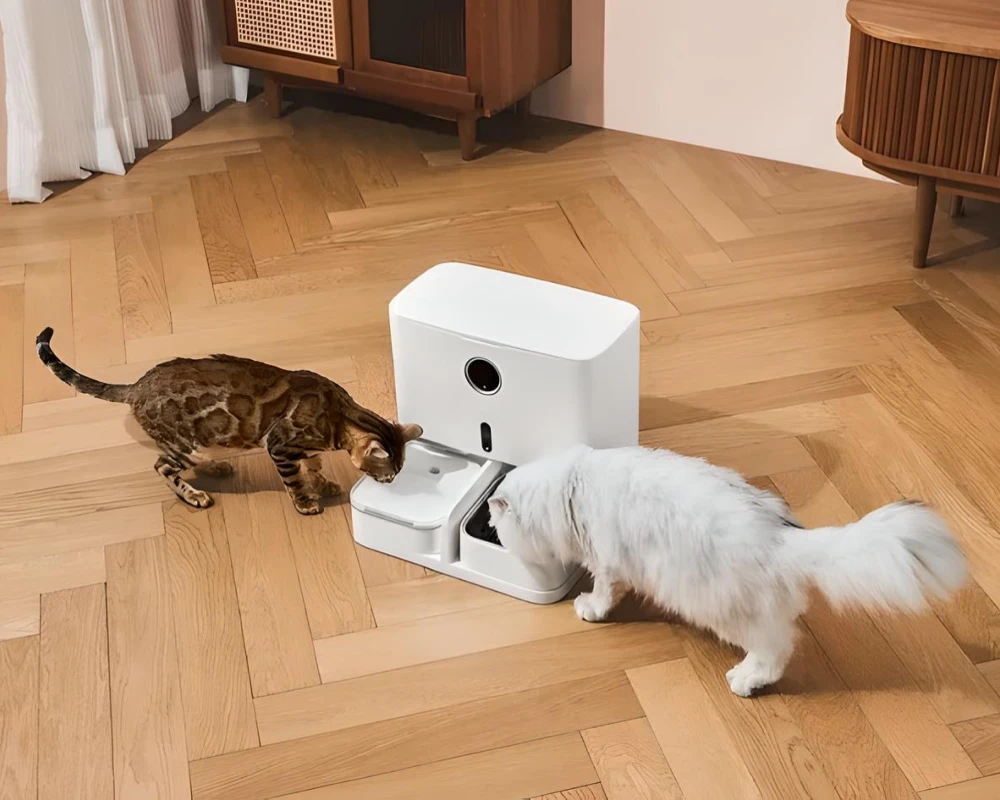 automatic dog feeder and water